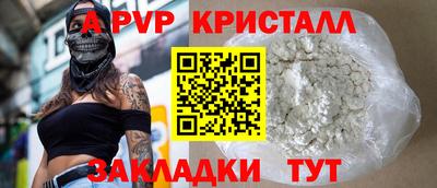 стафф Дубна
