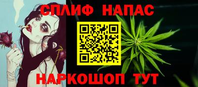 стафф Дубна