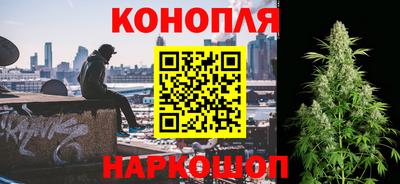 стафф Дубна