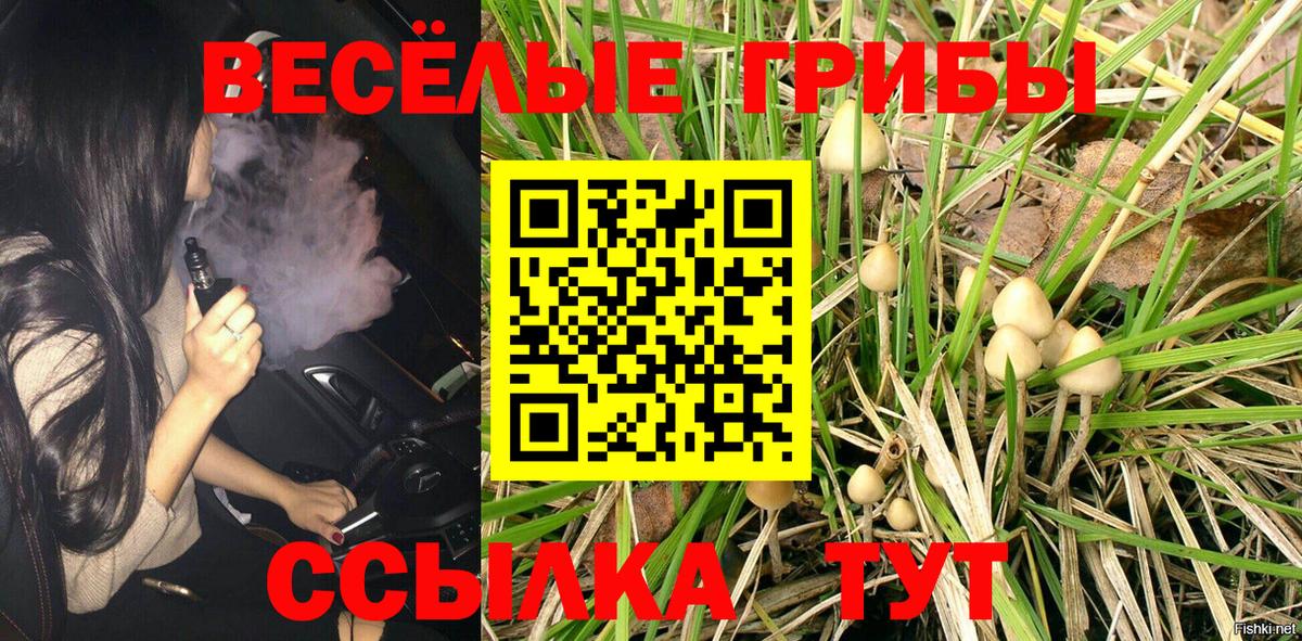 Галлюциногенные грибы GOLDEN TEACHER  Псилоцибиновые грибы мухоморы  Кыштым  Вход с VPN 